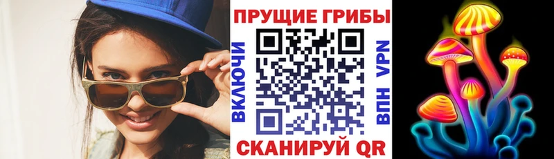Псилоцибиновые грибы GOLDEN TEACHER  Усть-Лабинск 